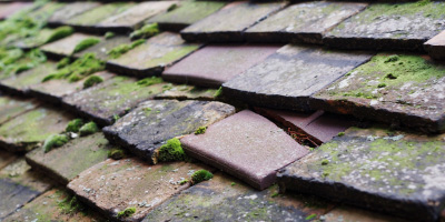 Waresley roof repair costs